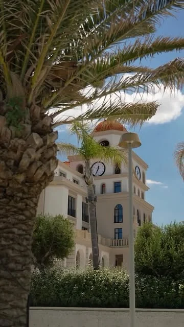 Пальма и башня с часами Marina Village — кадр из профиля филиала